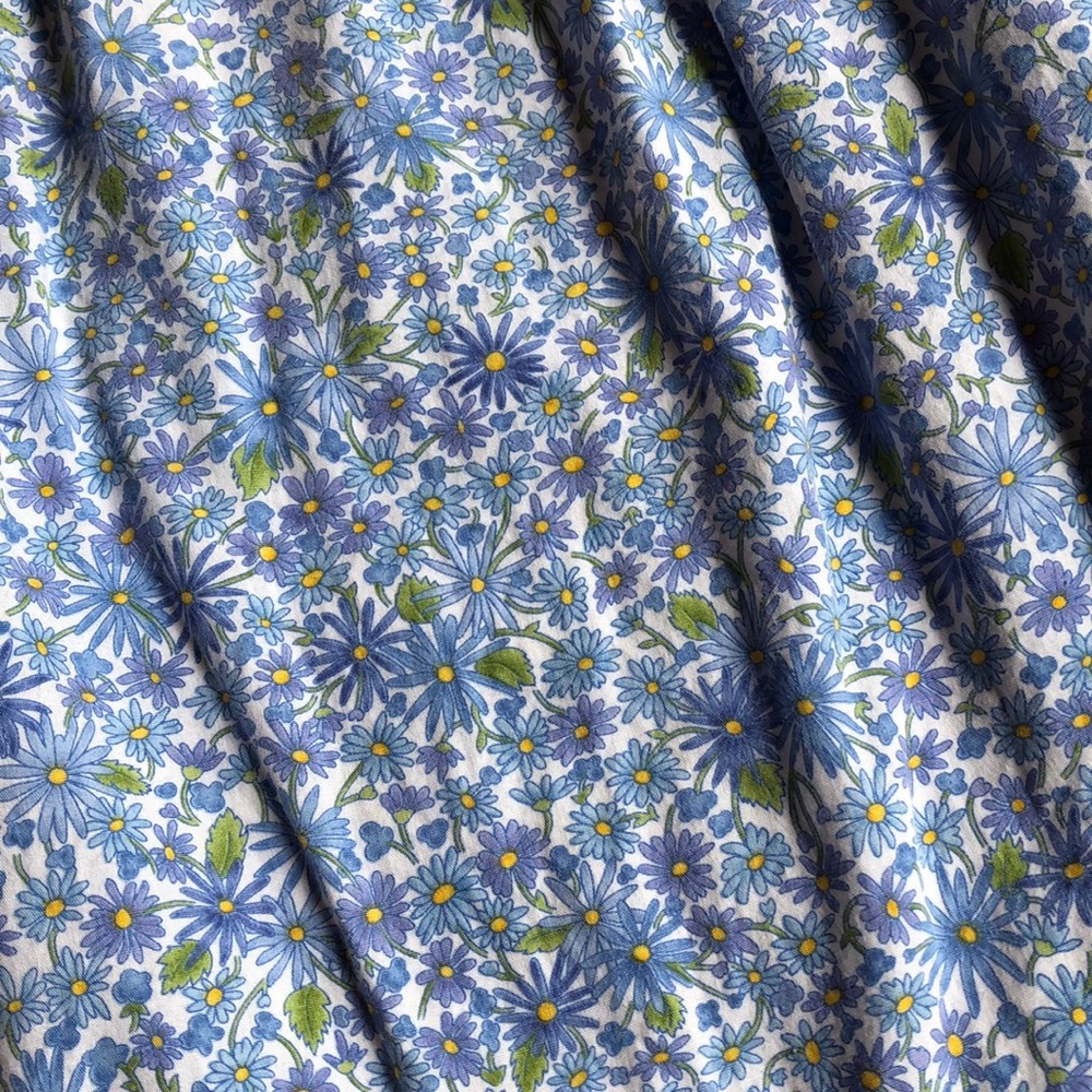 Daisy Blue - Picture 5 of 7